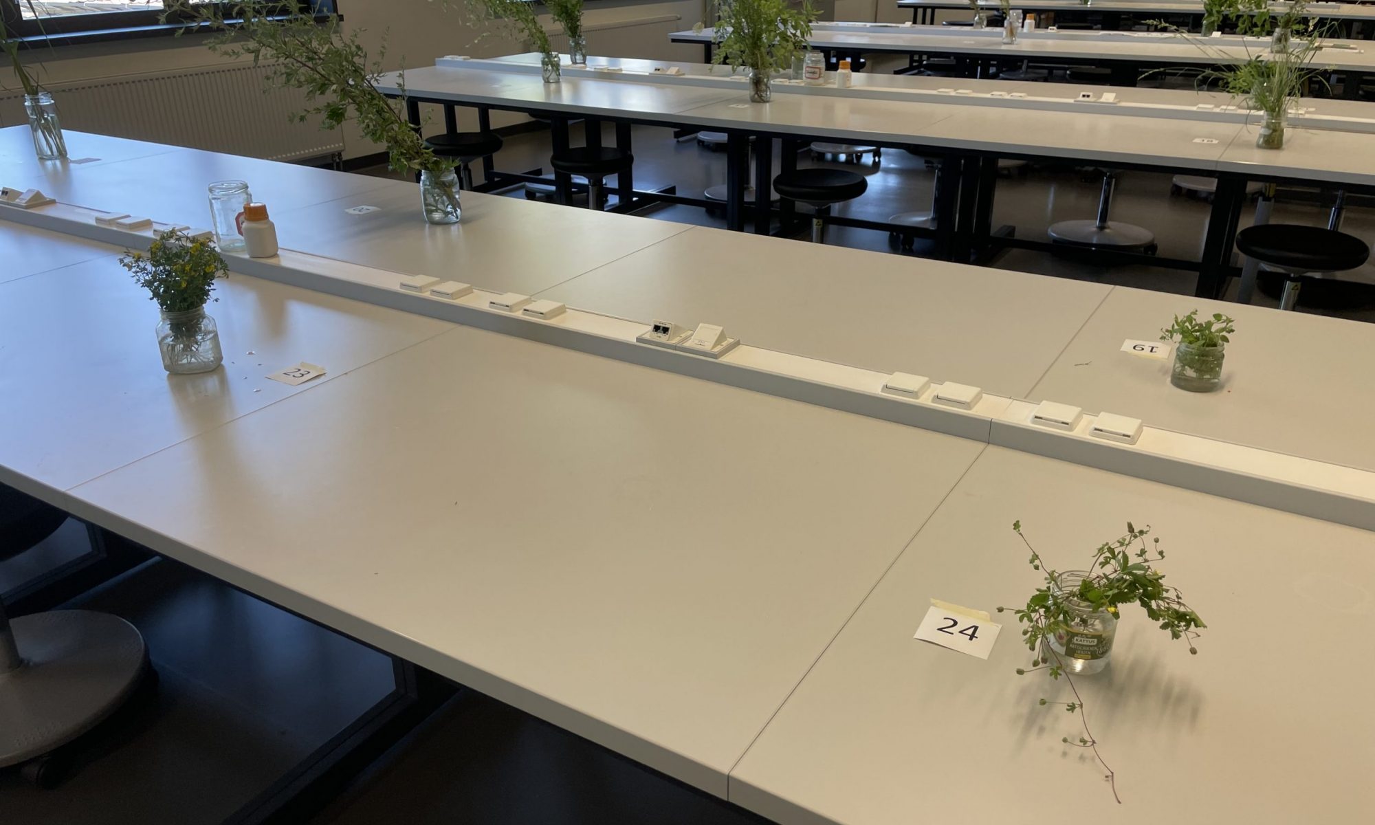 Artenkenntniszertifikat